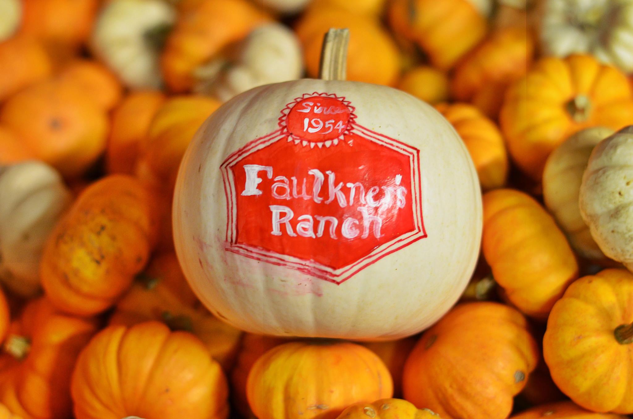 PumpkinSeason143
