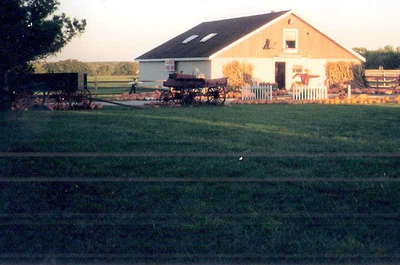 1999 Faulkner's Pumpkin Farm, Original location