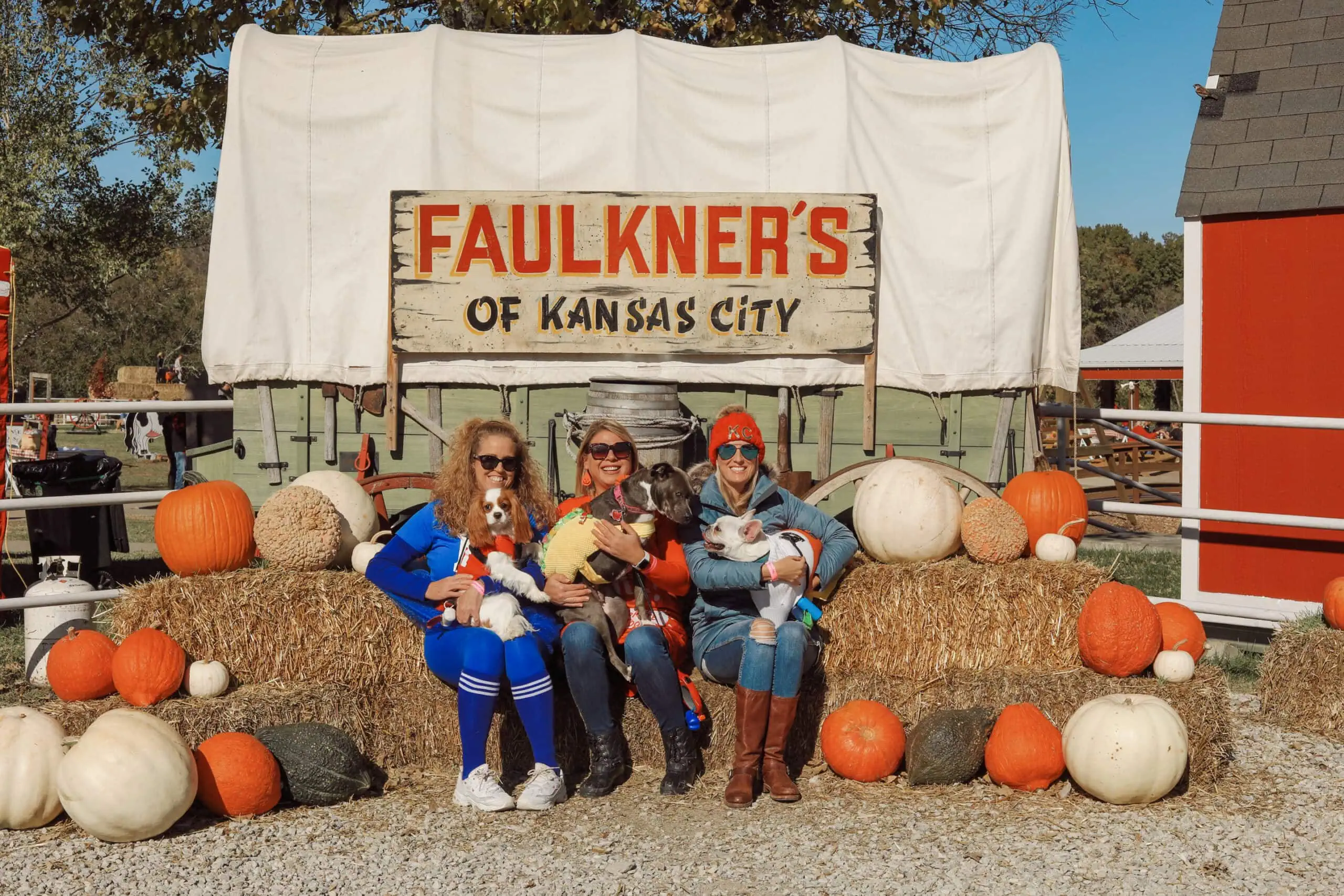 Guests holding their dogs among pumpkins and hay bales in front of the Faulkner’s Ranch wagon