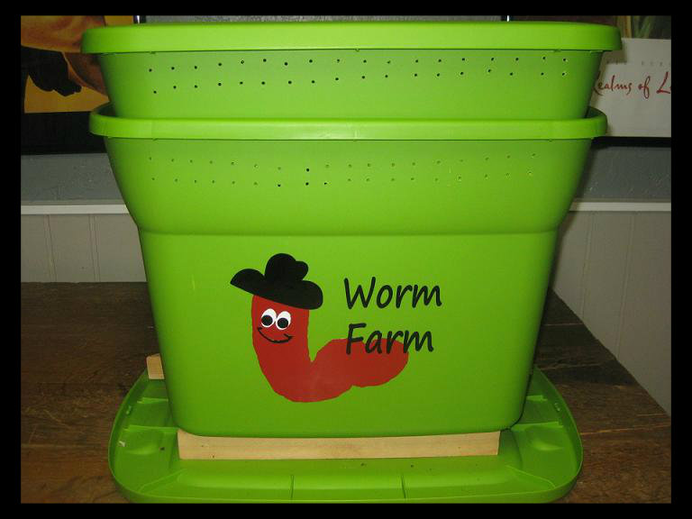 Meet Lisa And Our New Worm Farm, How To Build A Worm Farm For Fishing